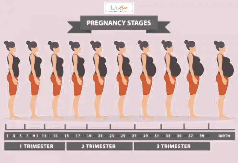 First Trimester (Weeks 1–12): Early Changes You Might Not Notice Felixstowe